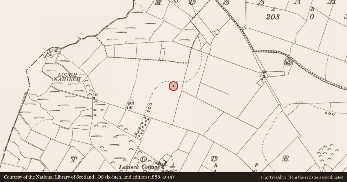 Ordnance Survey six-inch map, 2nd edition (1888–1915) covering the location of Enclosure, Toora, County Offaly, with a pin at the register's coordinates