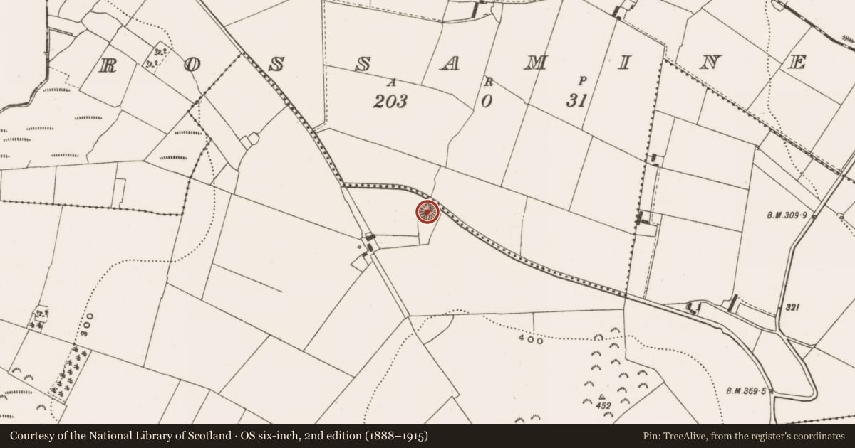 Ordnance Survey six-inch map, 2nd edition (1888–1915) covering the location of Ringfort - rath, Toora, County Offaly, with a pin at the register's coordinates