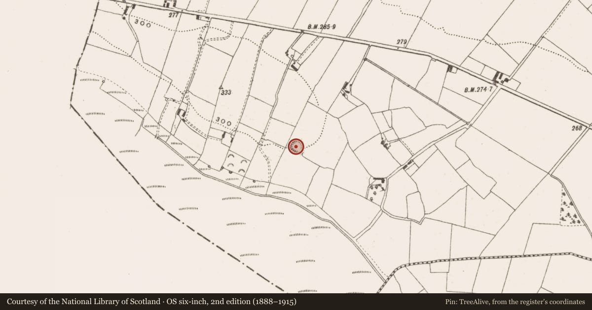 Ordnance Survey six-inch map, 2nd edition (1888–1915) covering the location of Ringfort - rath, Toora, County Offaly, with a pin at the register's coordinates