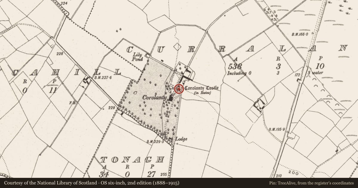 Ordnance Survey six-inch map, 2nd edition (1888–1915) covering the location of House - fortified house, Curralanty, County Offaly, with a pin at the register's coordinates