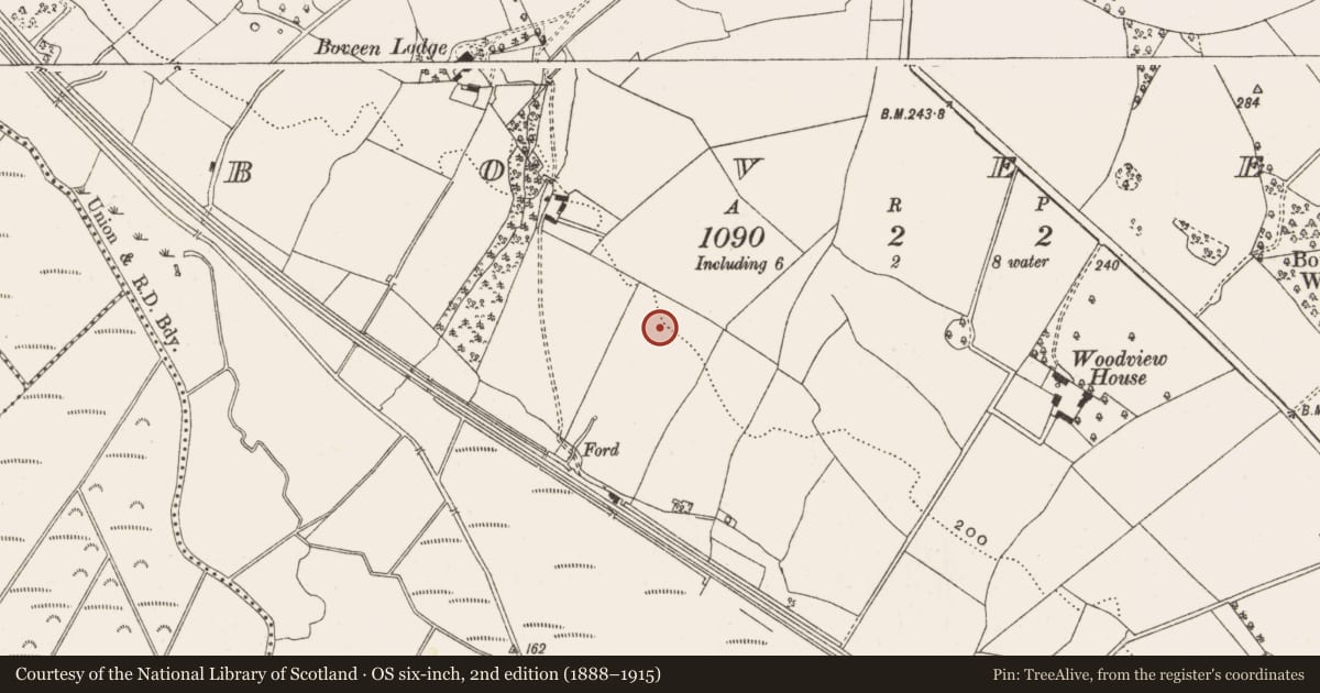 Ordnance Survey six-inch map, 2nd edition (1888–1915) covering the location of Ringfort - rath, Boveen, County Offaly, with a pin at the register's coordinates