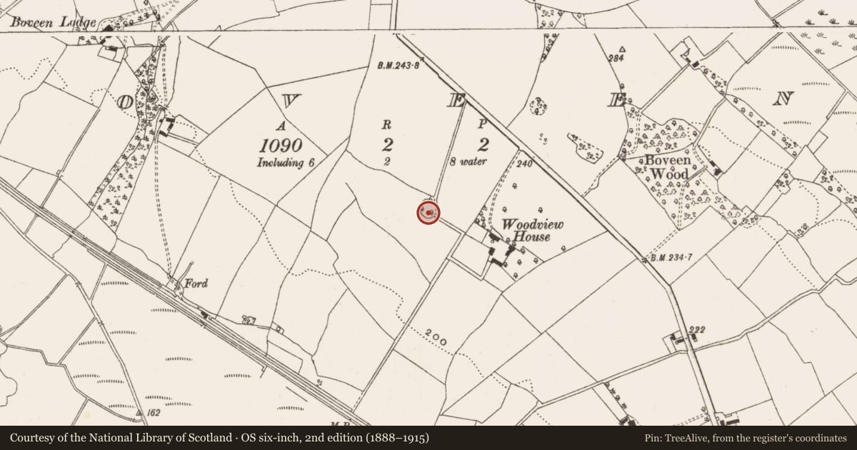 Ordnance Survey six-inch map, 2nd edition (1888–1915) covering the location of Ringfort - rath, Boveen, County Offaly, with a pin at the register's coordinates