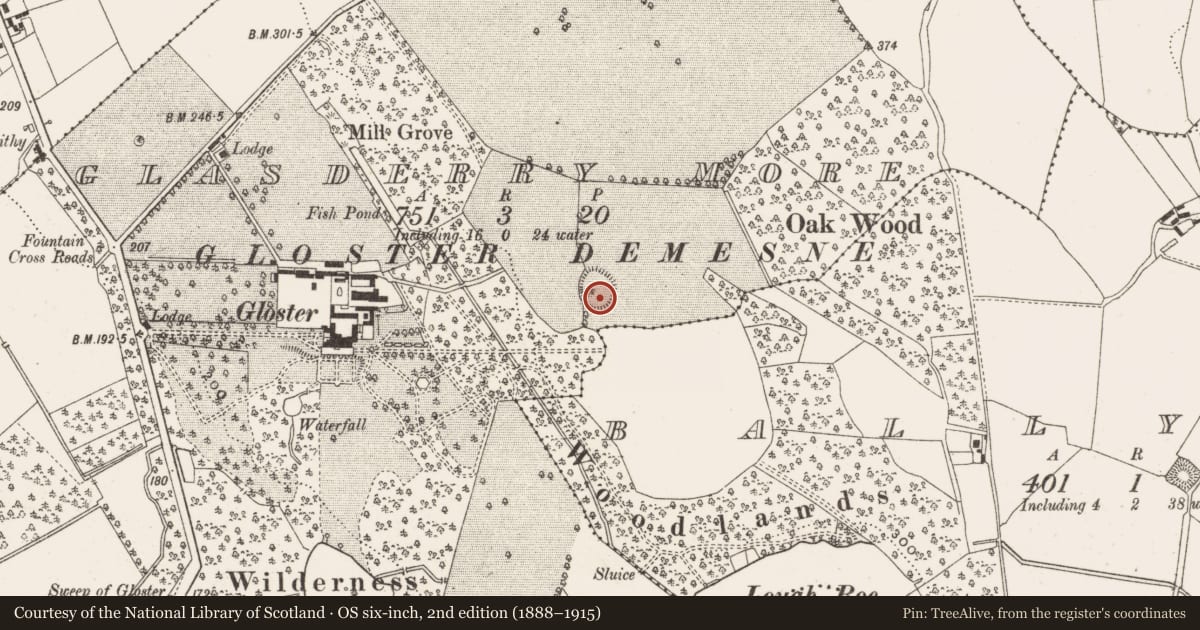 Ordnance Survey six-inch map, 2nd edition (1888–1915) covering the location of Enclosure, Glasderry More, County Offaly, with a pin at the register's coordinates