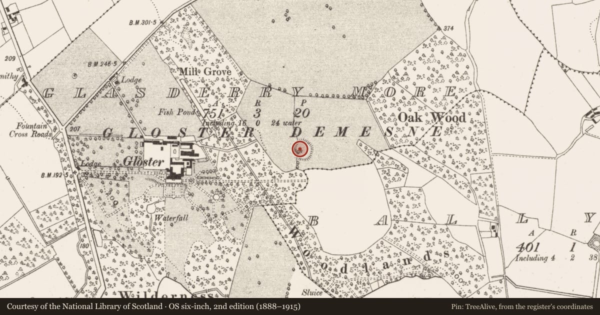 Ordnance Survey six-inch map, 2nd edition (1888–1915) covering the location of Souterrain, Glasderry More, County Offaly, with a pin at the register's coordinates