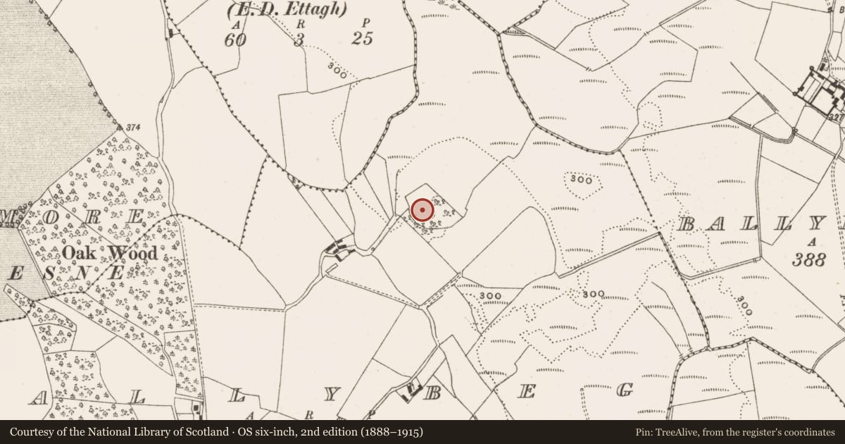 Ordnance Survey six-inch map, 2nd edition (1888–1915) covering the location of Moated site, Ballybeg, County Offaly, with a pin at the register's coordinates