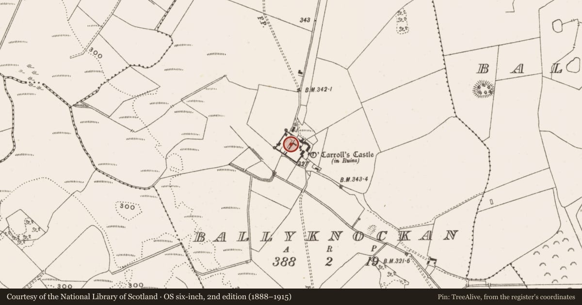 Ordnance Survey six-inch map, 2nd edition (1888–1915) covering the location of Bawn, Ballyknockan, County Offaly, with a pin at the register's coordinates