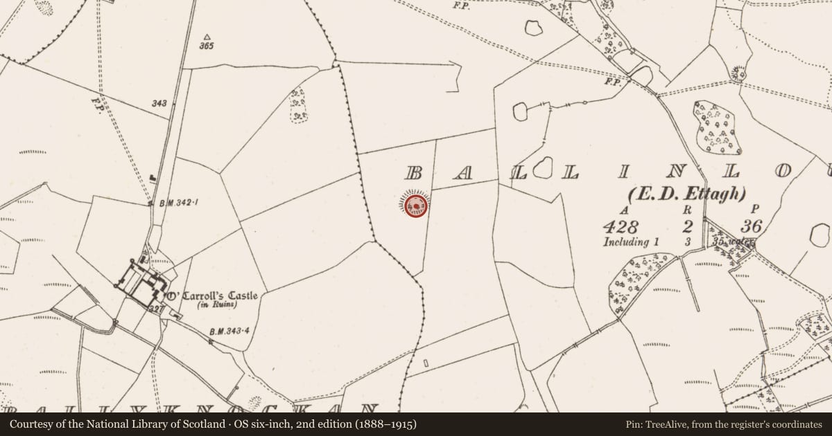Ordnance Survey six-inch map, 2nd edition (1888–1915) covering the location of Ringfort - rath, Ballinlough, County Offaly, with a pin at the register's coordinates
