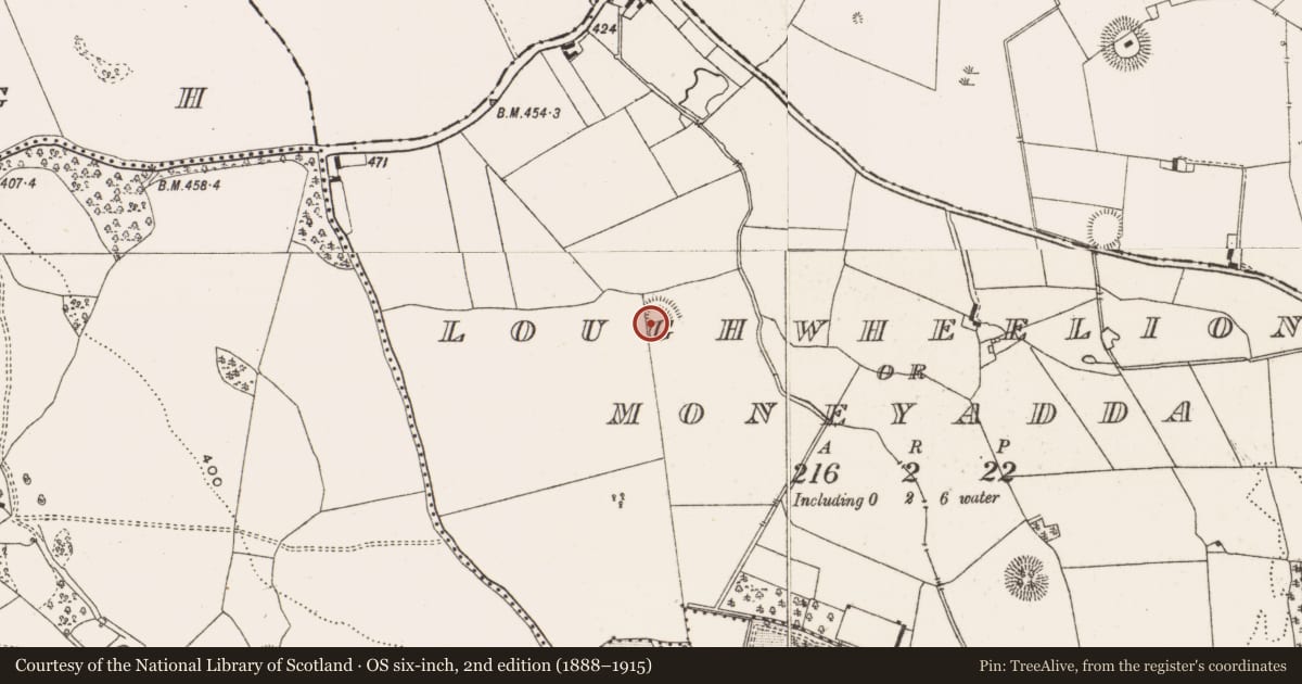 Ordnance Survey six-inch map, 2nd edition (1888–1915) covering the location of Enclosure, Loughwheelion Or Moneyadda, County Offaly, with a pin at the register's coordinates