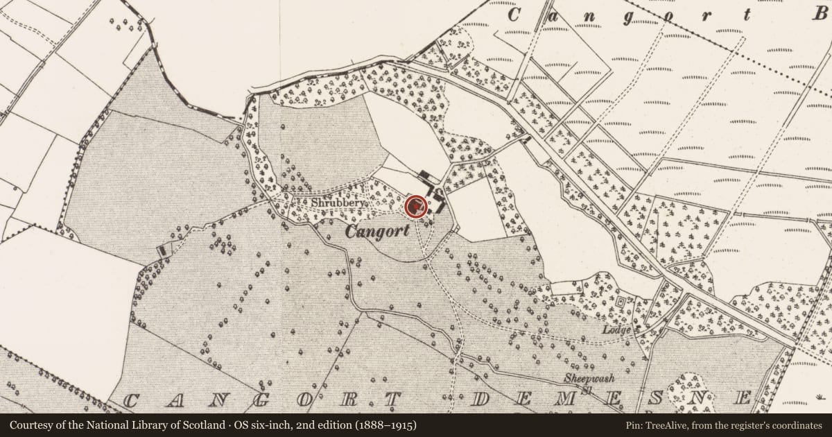 Ordnance Survey six-inch map, 2nd edition (1888–1915) covering the location of Castle - unclassified, Cangort Demesne, County Offaly, with a pin at the register's coordinates