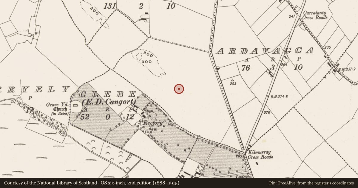 Ordnance Survey six-inch map, 2nd edition (1888–1915) covering the location of Enclosure, Galbally, County Offaly, with a pin at the register's coordinates