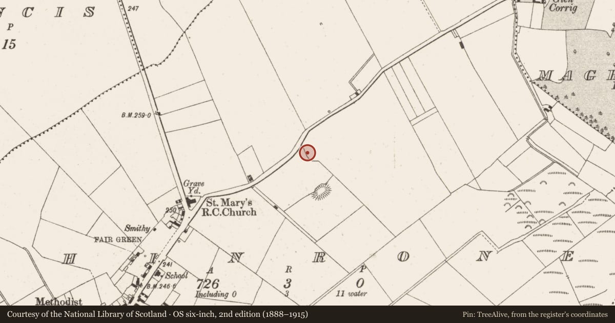 Ordnance Survey six-inch map, 2nd edition (1888–1915) covering the location of Enclosure, Shinrone, County Offaly, with a pin at the register's coordinates