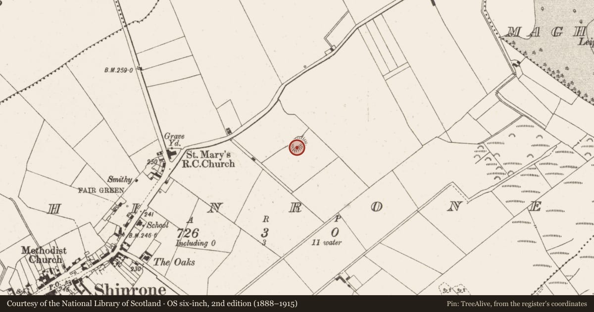 Ordnance Survey six-inch map, 2nd edition (1888–1915) covering the location of Ringfort - rath, Shinrone, County Offaly, with a pin at the register's coordinates