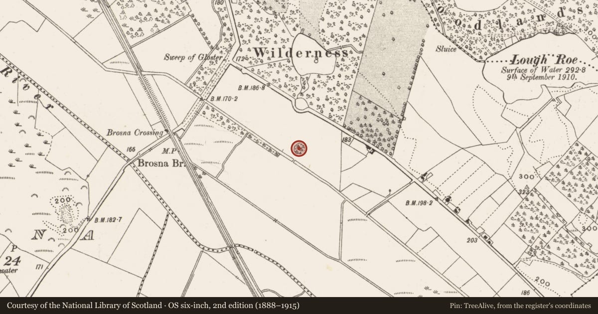 Ordnance Survey six-inch map, 2nd edition (1888–1915) covering the location of Souterrain, Glasderry More, County Offaly, with a pin at the register's coordinates