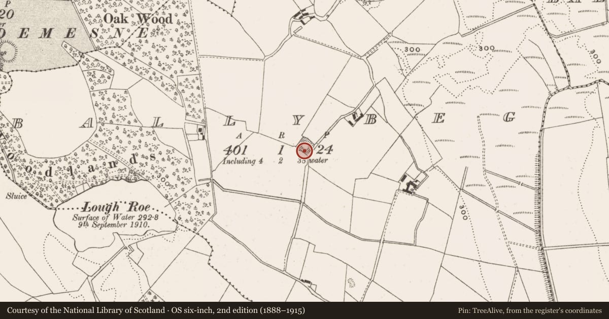 Ordnance Survey six-inch map, 2nd edition (1888–1915) covering the location of Moated site, Ballybeg, County Offaly, with a pin at the register's coordinates