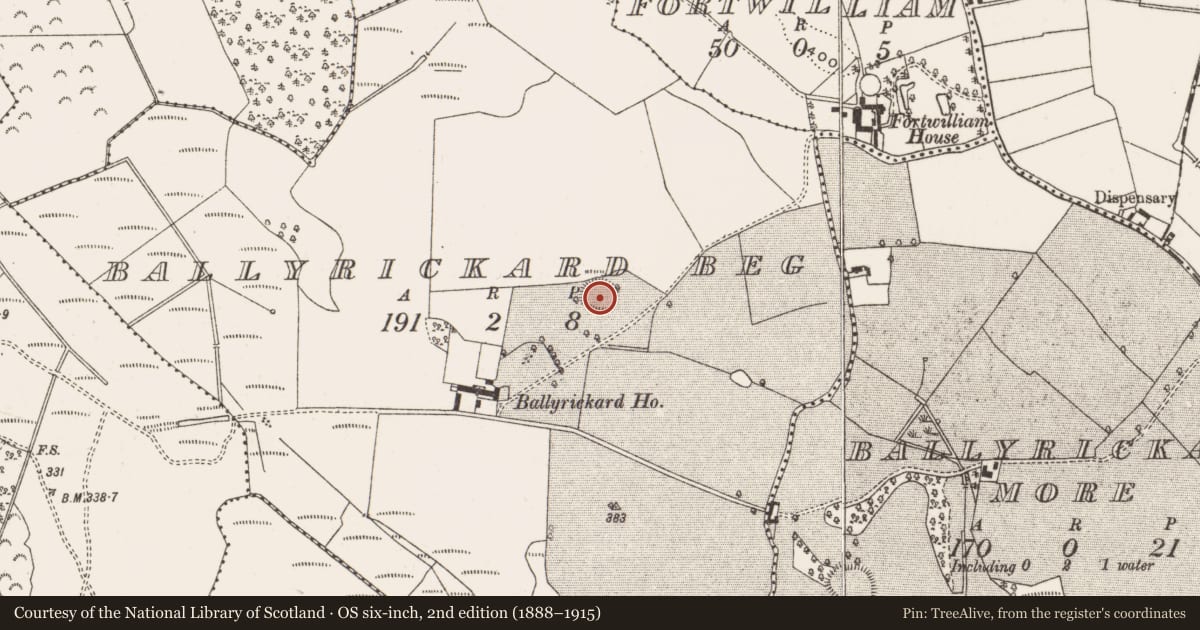 Ordnance Survey six-inch map, 2nd edition (1888–1915) covering the location of Ringfort - rath, Ballyrickard Beg, County Offaly, with a pin at the register's coordinates