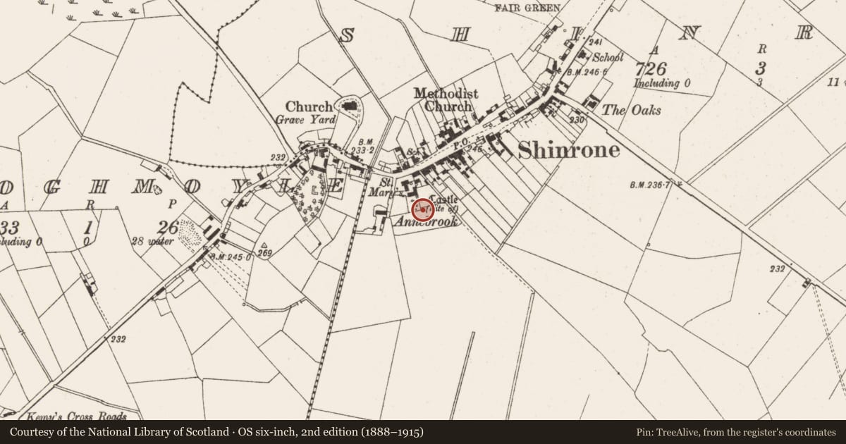 Ordnance Survey six-inch map, 2nd edition (1888–1915) covering the location of Castle - unclassified, Shinrone, County Offaly, with a pin at the register's coordinates