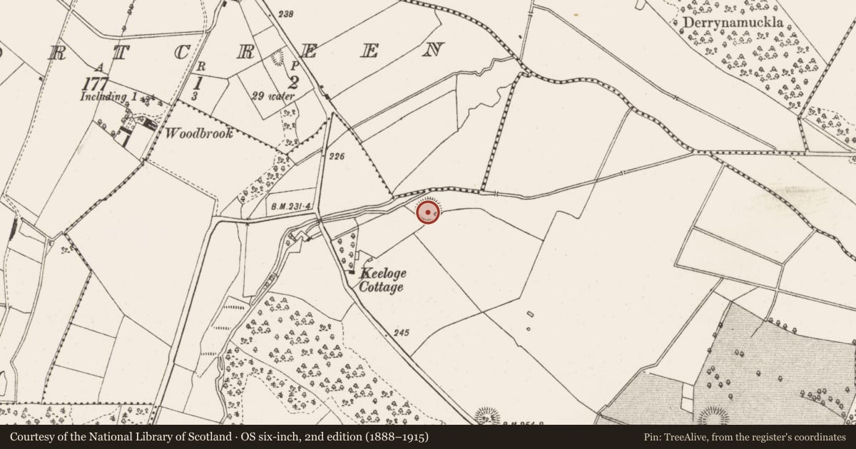 Ordnance Survey six-inch map, 2nd edition (1888–1915) covering the location of Ringfort - rath, Keeloge, County Offaly, with a pin at the register's coordinates