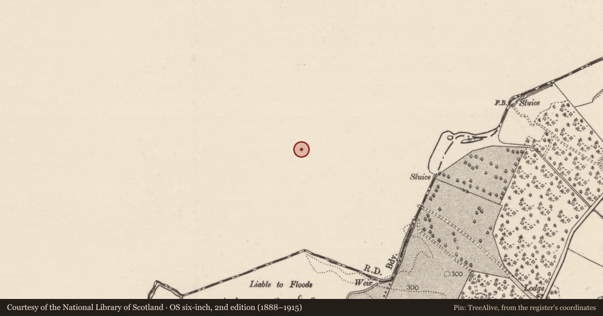 Ordnance Survey six-inch map, 2nd edition (1888–1915) covering the location of Ringfort - rath, Knocknamase Or Goldengrove, County Offaly, with a pin at the register's coordinates