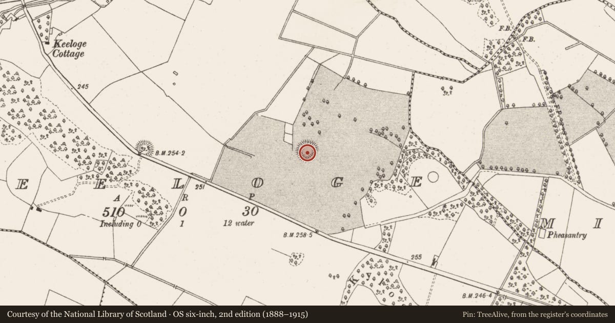 Ordnance Survey six-inch map, 2nd edition (1888–1915) covering the location of Ringfort - rath, Keeloge, County Offaly, with a pin at the register's coordinates