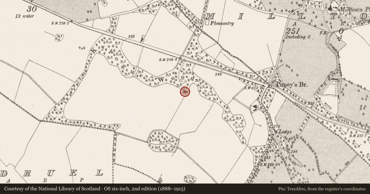 Ordnance Survey six-inch map, 2nd edition (1888–1915) covering the location of Ringfort - rath, Keeloge, County Offaly, with a pin at the register's coordinates