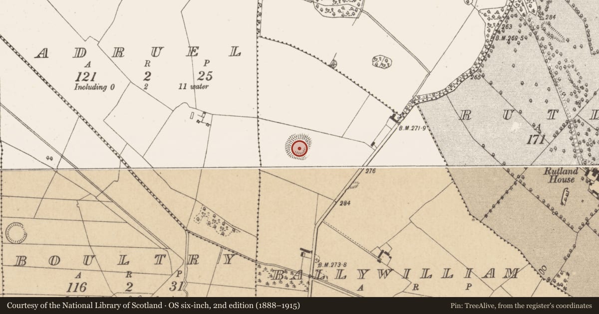 Ordnance Survey six-inch map, 2nd edition (1888–1915) covering the location of Ringfort - rath, Ballywilliam, County Offaly, with a pin at the register's coordinates