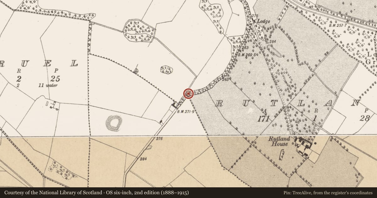 Ordnance Survey six-inch map, 2nd edition (1888–1915) covering the location of Bullaun stone, Keeloge, County Offaly, with a pin at the register's coordinates