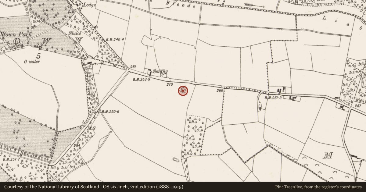 Ordnance Survey six-inch map, 2nd edition (1888–1915) covering the location of Enclosure, Clyduff, County Offaly, with a pin at the register's coordinates