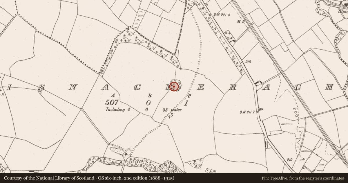 Ordnance Survey six-inch map, 2nd edition (1888–1915) covering the location of Designed landscape - tree-ring, Lisnageeragh, County Offaly, with a pin at the register's coordinates