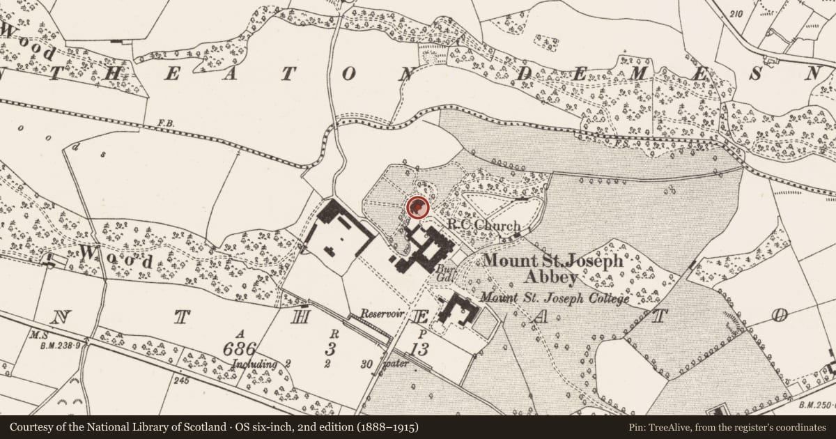 Ordnance Survey six-inch map, 2nd edition (1888–1915) covering the location of Castle - unclassified, Mountheaton, County Offaly, with a pin at the register's coordinates