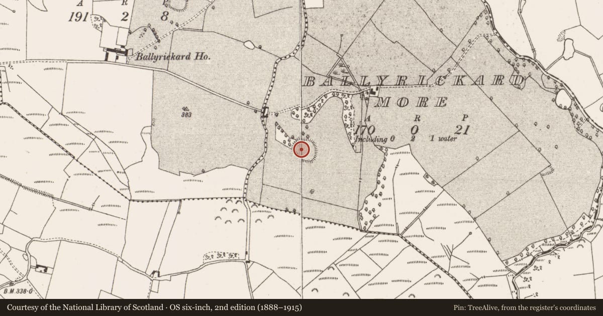 Ordnance Survey six-inch map, 2nd edition (1888–1915) covering the location of Enclosure, Ballyrickard More, County Offaly, with a pin at the register's coordinates