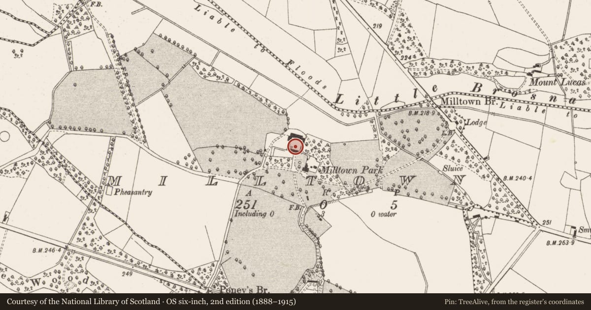 Ordnance Survey six-inch map, 2nd edition (1888–1915) covering the location of House - 18th/19th century, Milltown, County Offaly, with a pin at the register's coordinates