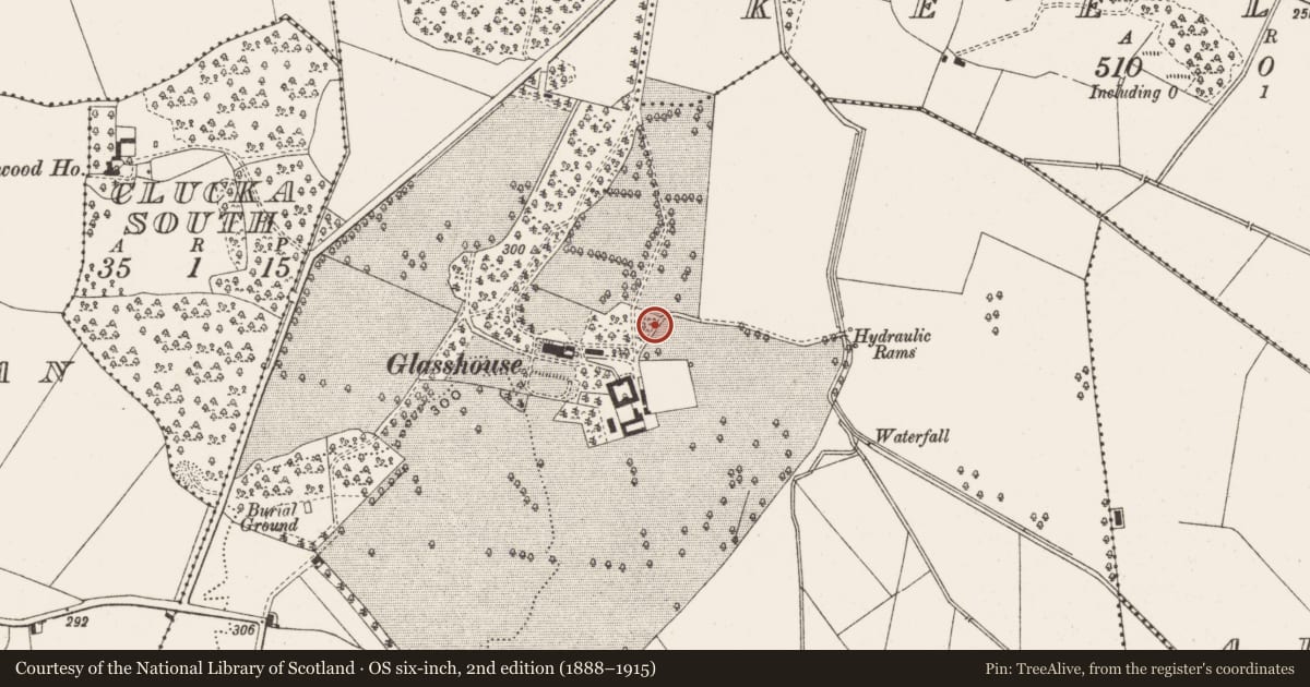Ordnance Survey six-inch map, 2nd edition (1888–1915) covering the location of Glass works, Glasshouse, County Offaly, with a pin at the register's coordinates