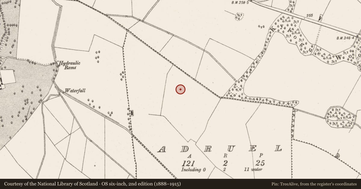 Ordnance Survey six-inch map, 2nd edition (1888–1915) covering the location of Fulacht fia, Adruel, County Offaly, with a pin at the register's coordinates