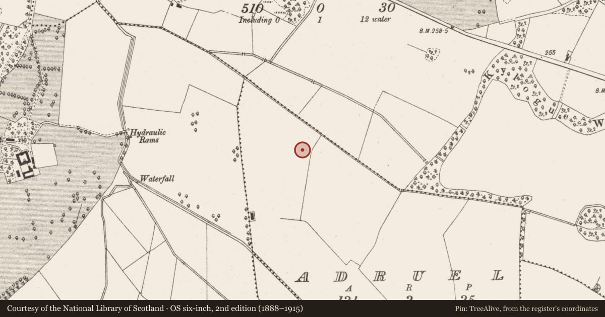 Ordnance Survey six-inch map, 2nd edition (1888–1915) covering the location of Fulacht fia, Adruel, County Offaly, with a pin at the register's coordinates