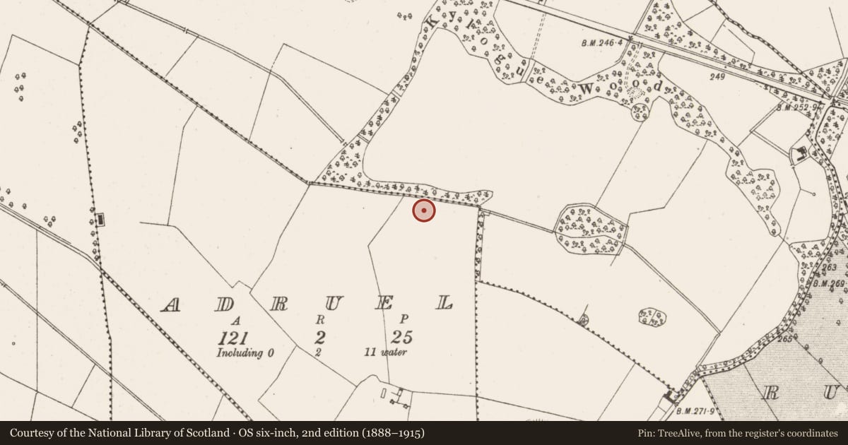 Ordnance Survey six-inch map, 2nd edition (1888–1915) covering the location of Fulacht fia, Adruel, County Offaly, with a pin at the register's coordinates