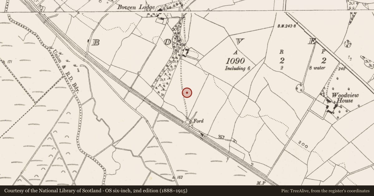 Ordnance Survey six-inch map, 2nd edition (1888–1915) covering the location of Enclosure, Boveen, County Offaly, with a pin at the register's coordinates