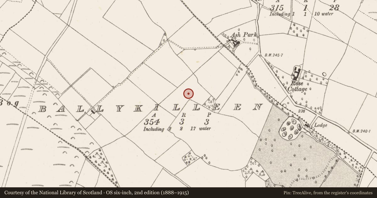Ordnance Survey six-inch map, 2nd edition (1888–1915) covering the location of Enclosure, Ballykilleen, County Offaly, with a pin at the register's coordinates