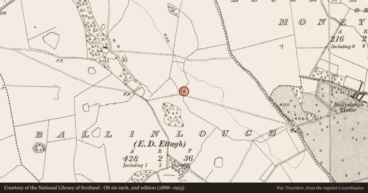 Ordnance Survey six-inch map, 2nd edition (1888–1915) covering the location of Cliff-edge fort, Ballinlough, County Offaly, with a pin at the register's coordinates