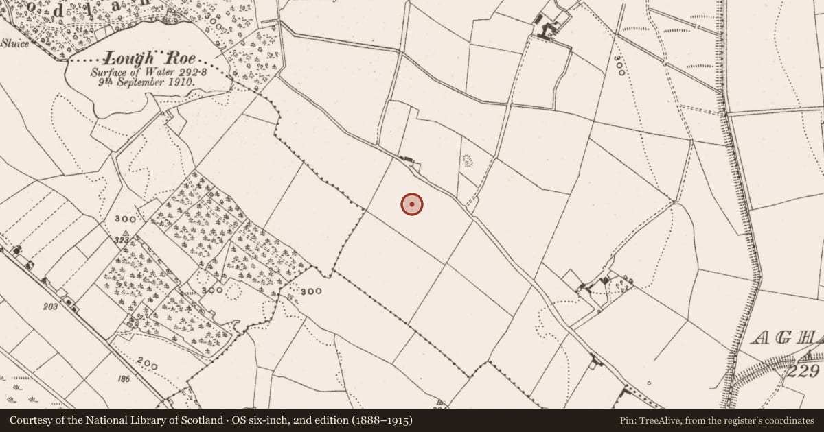 Ordnance Survey six-inch map, 2nd edition (1888–1915) covering the location of Enclosure - large enclosure, Ballybeg, County Offaly, with a pin at the register's coordinates