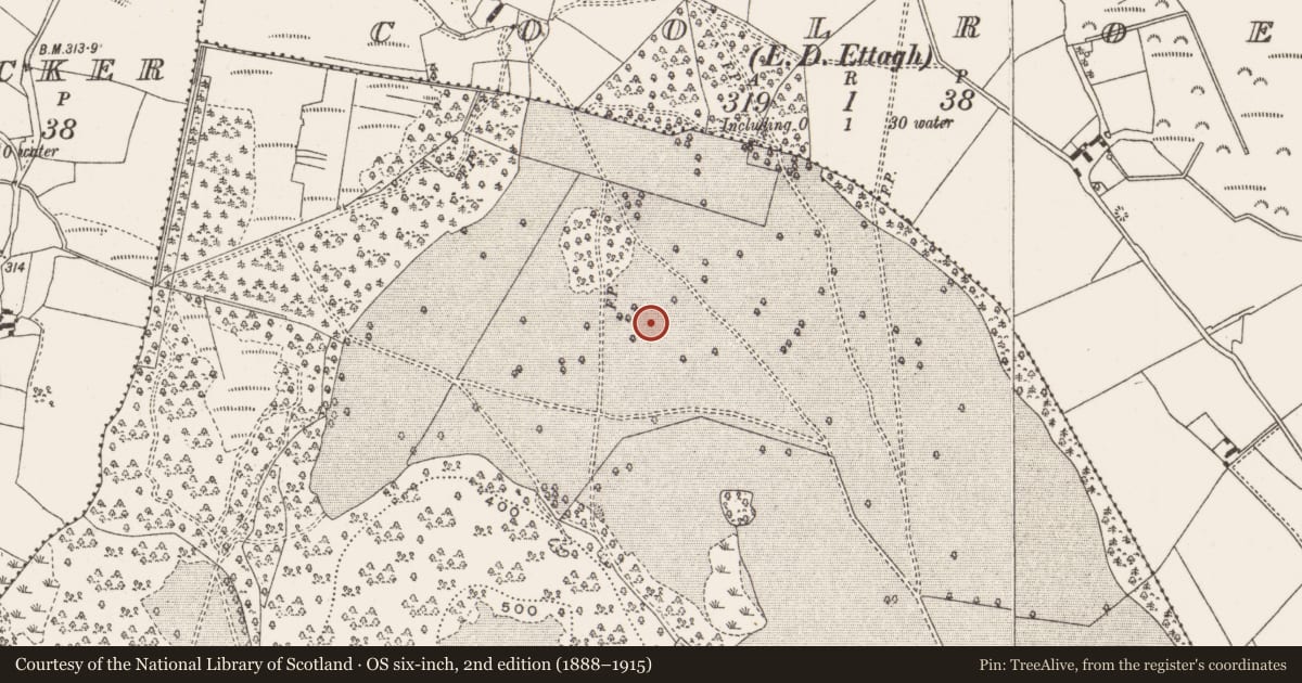Ordnance Survey six-inch map, 2nd edition (1888–1915) covering the location of Enclosure, Knocknamase Or Goldengrove, County Offaly, with a pin at the register's coordinates