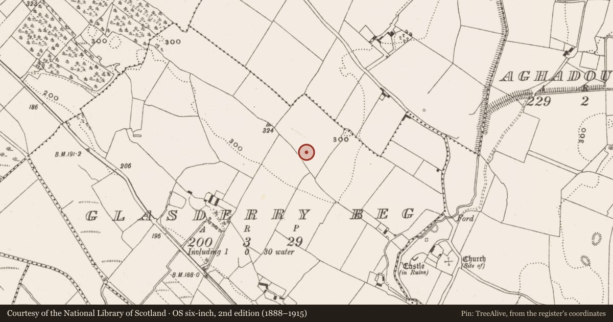 Ordnance Survey six-inch map, 2nd edition (1888–1915) covering the location of Ring-ditch, Glasderry Beg, County Offaly, with a pin at the register's coordinates