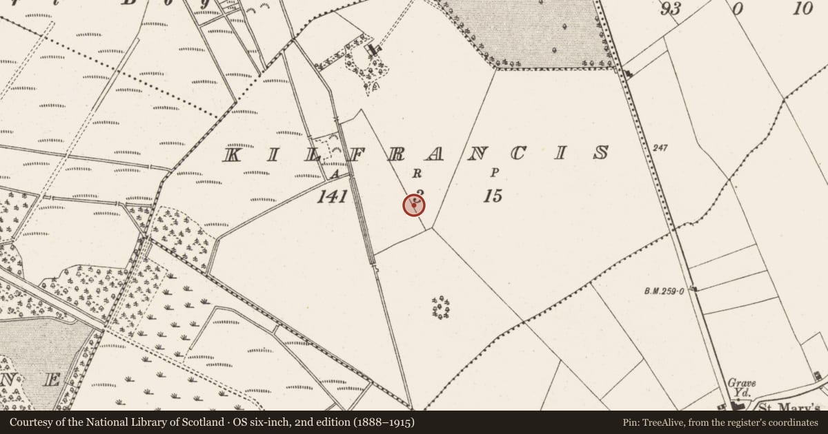 Ordnance Survey six-inch map, 2nd edition (1888–1915) covering the location of Earthwork, Kilfrancis, County Offaly, with a pin at the register's coordinates