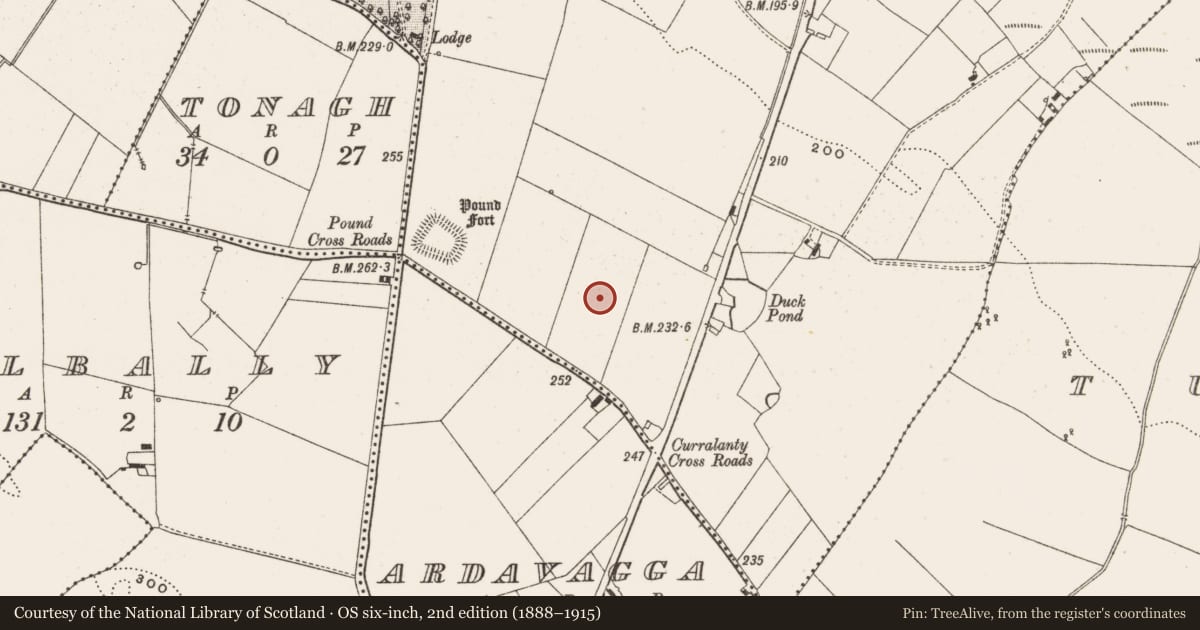 Ordnance Survey six-inch map, 2nd edition (1888–1915) covering the location of Bullaun stone, Curralanty, County Offaly, with a pin at the register's coordinates