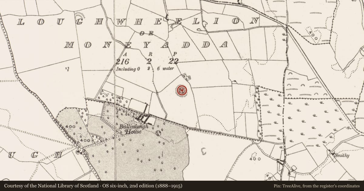 Ordnance Survey six-inch map, 2nd edition (1888–1915) covering the location of Ringfort - rath, Loughwheelion Or Moneyadda, County Offaly, with a pin at the register's coordinates