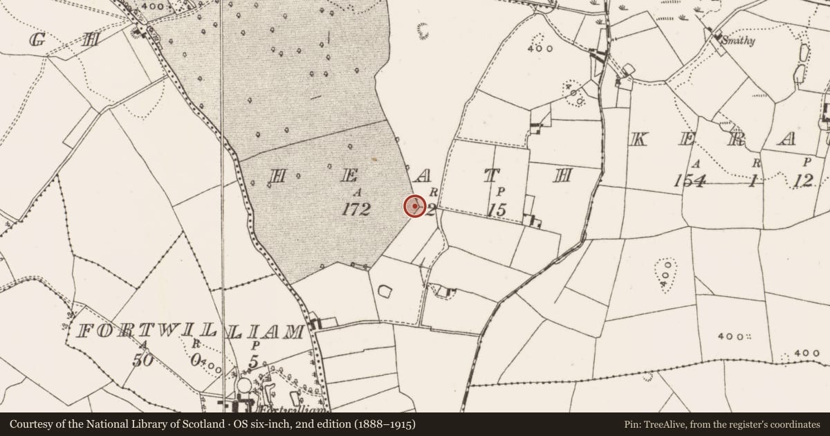 Ordnance Survey six-inch map, 2nd edition (1888–1915) covering the location of Enclosure, Heath, County Offaly, with a pin at the register's coordinates