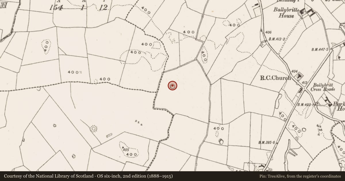 Ordnance Survey six-inch map, 2nd edition (1888–1915) covering the location of Burial mound, Ballybritt, County Offaly, with a pin at the register's coordinates