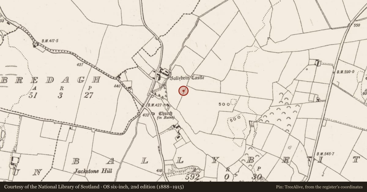 Ordnance Survey six-inch map, 2nd edition (1888–1915) covering the location of Standing stone, Ballybritt, County Offaly, with a pin at the register's coordinates