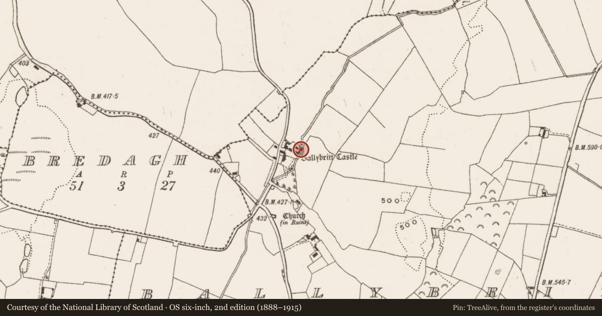 Ordnance Survey six-inch map, 2nd edition (1888–1915) covering the location of Castle - tower house, Ballybritt, County Offaly, with a pin at the register's coordinates
