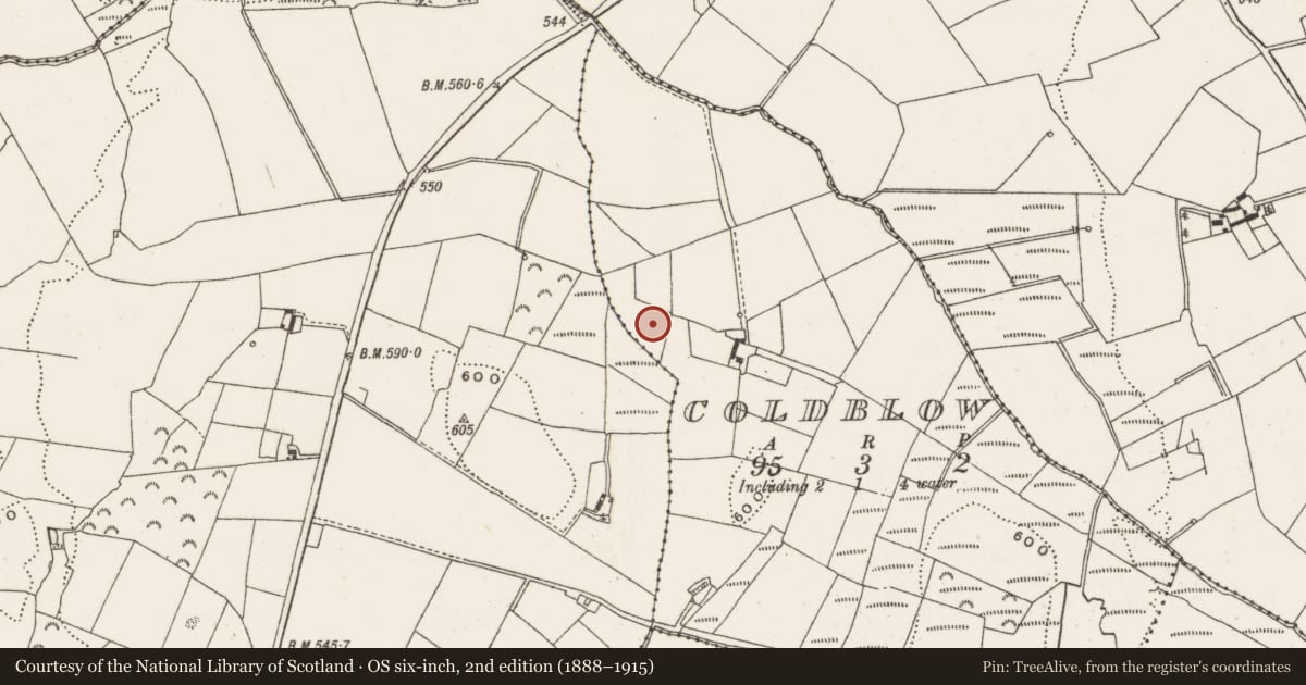 Ordnance Survey six-inch map, 2nd edition (1888–1915) covering the location of Enclosure, Coldblow, County Offaly, with a pin at the register's coordinates