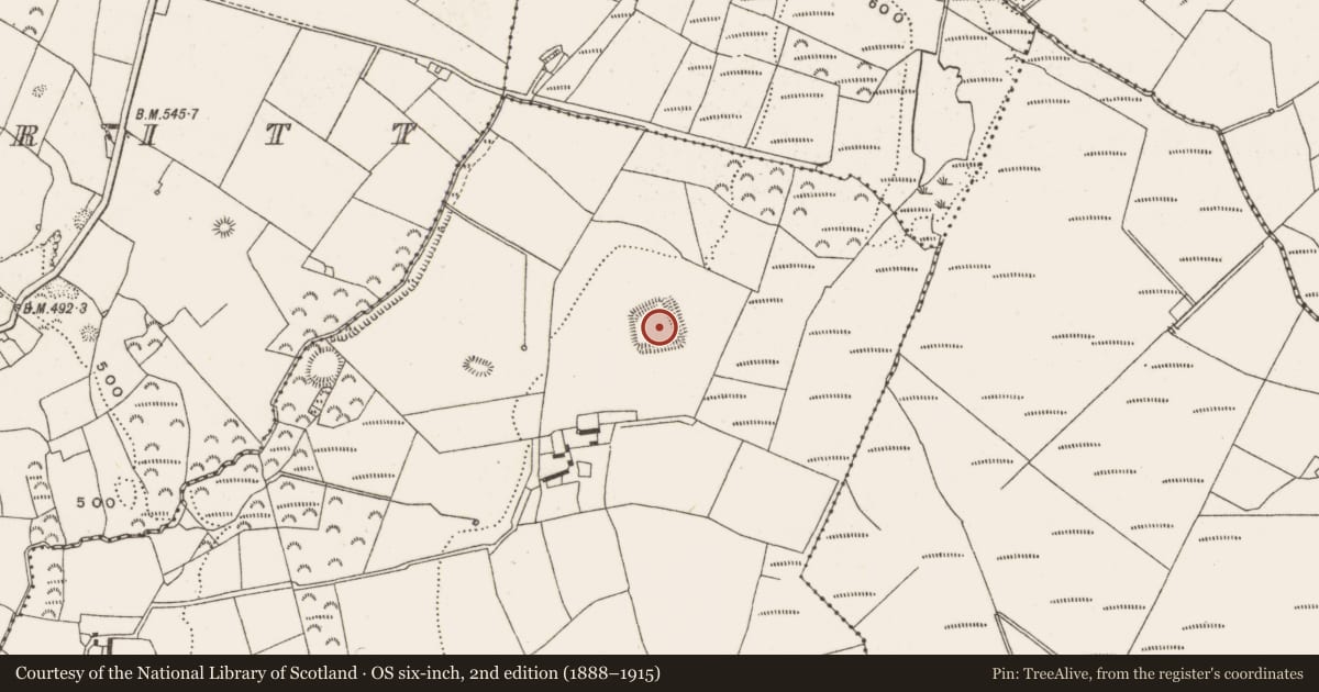 Ordnance Survey six-inch map, 2nd edition (1888–1915) covering the location of Moated site, Ballyphilip, County Offaly, with a pin at the register's coordinates